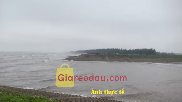 Giảm giá Khăn lau bàn thờ - Tộc Nature màu vàng khác biệt. Giao hàng nhanh . Đóng gói cẩn thận . Sản phẩm chất lượng tốt. 