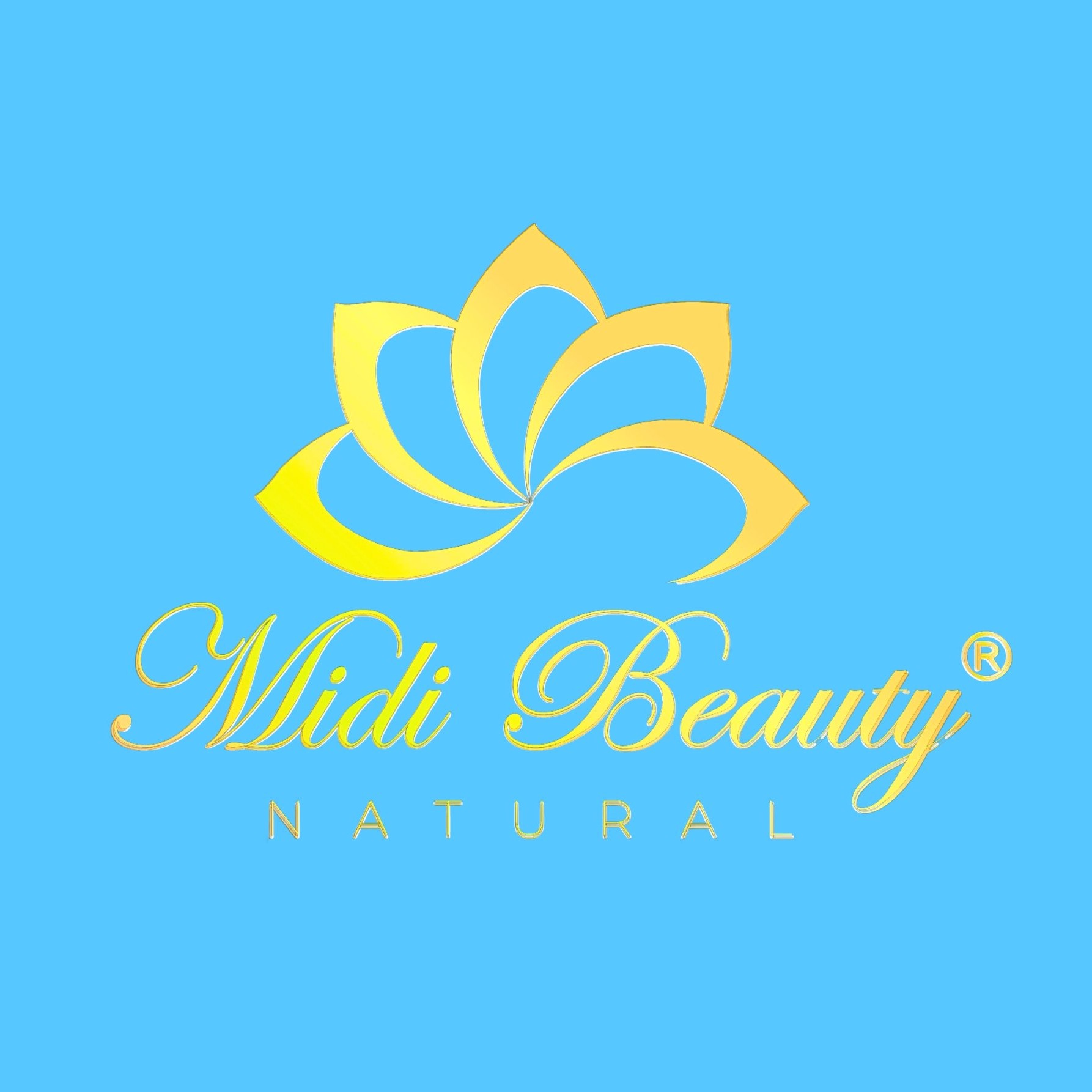 MIDI BEAUTY STORE Việt Nam