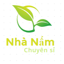 Nhà Nấm (Chuyên sỉ)